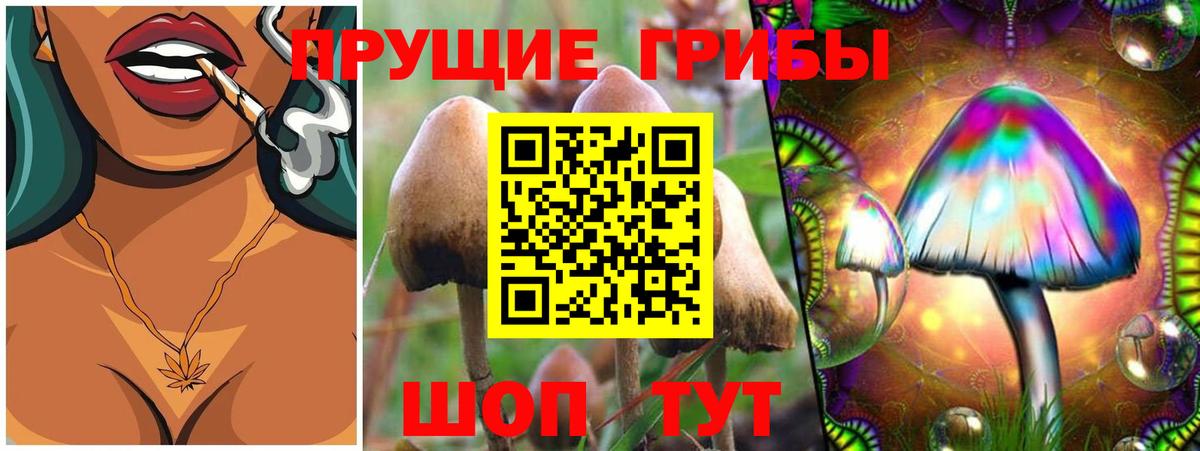Галлюциногенные грибы MAGIC MUSHROOMS Междуреченск